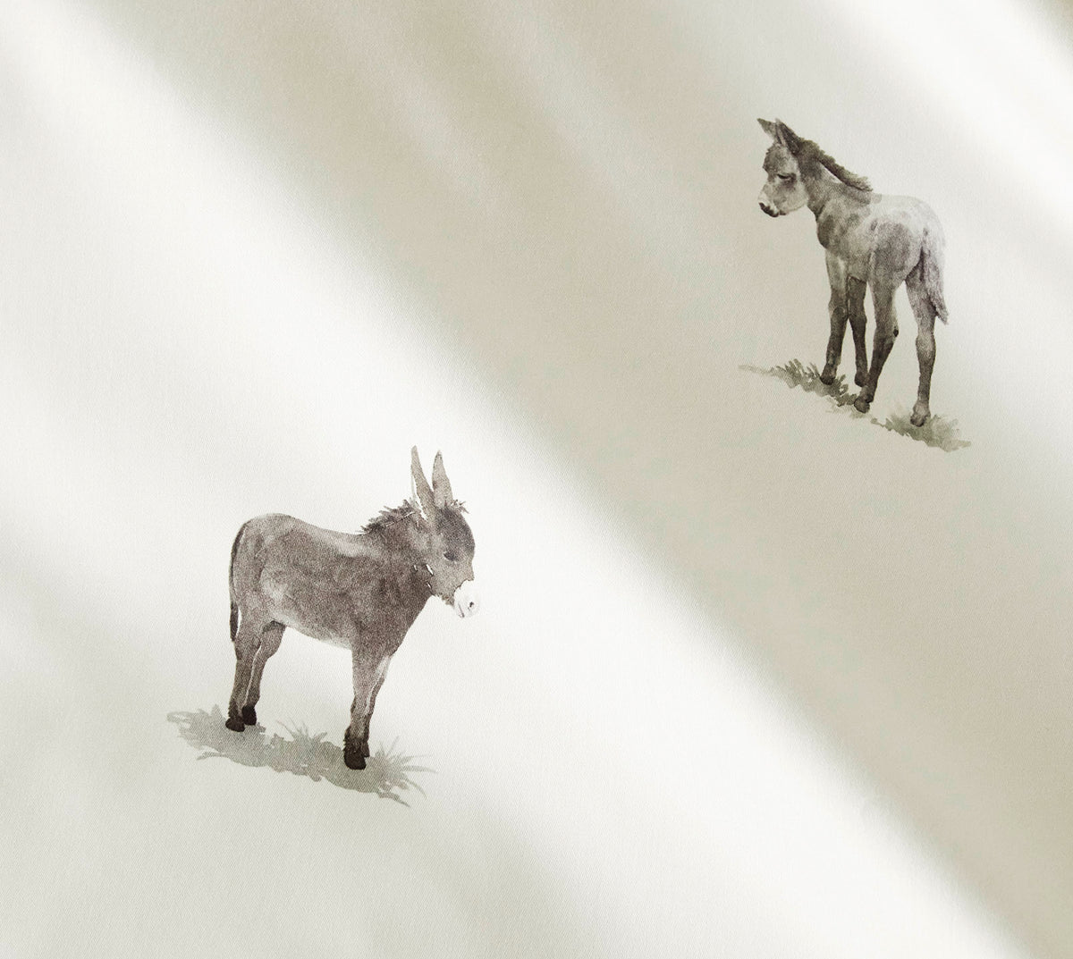 Donkey