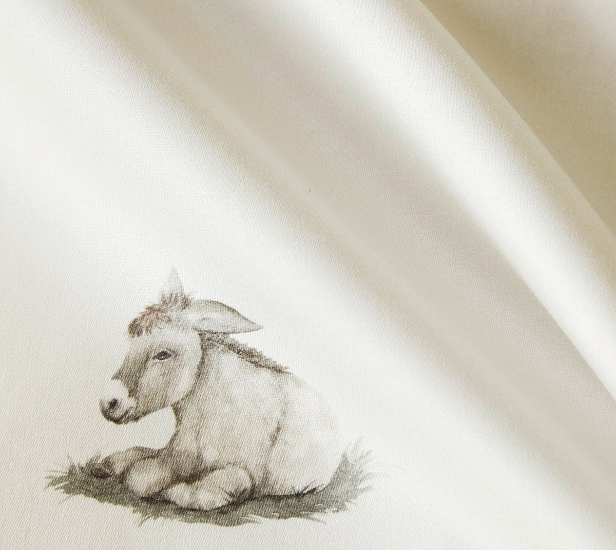 Donkey