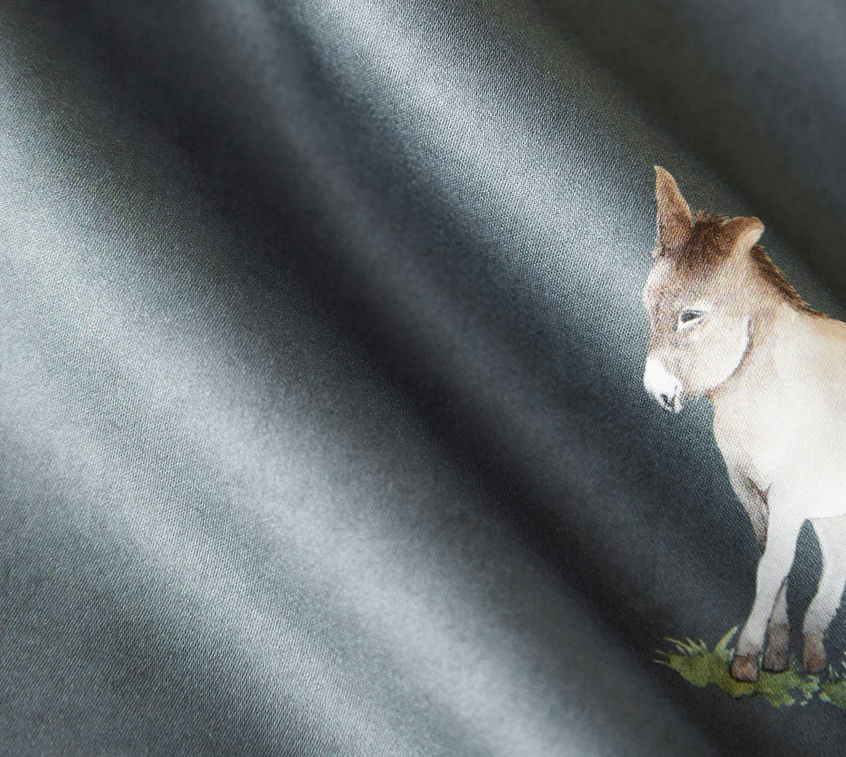 Donkey