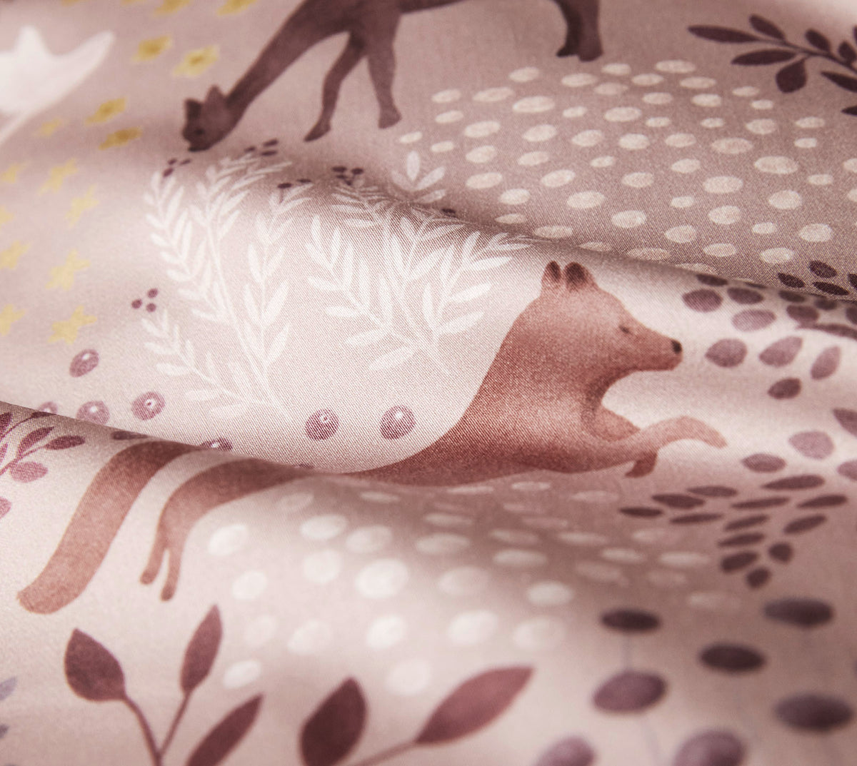 Dreamland