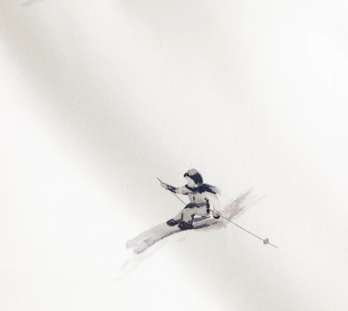 Mono Ski