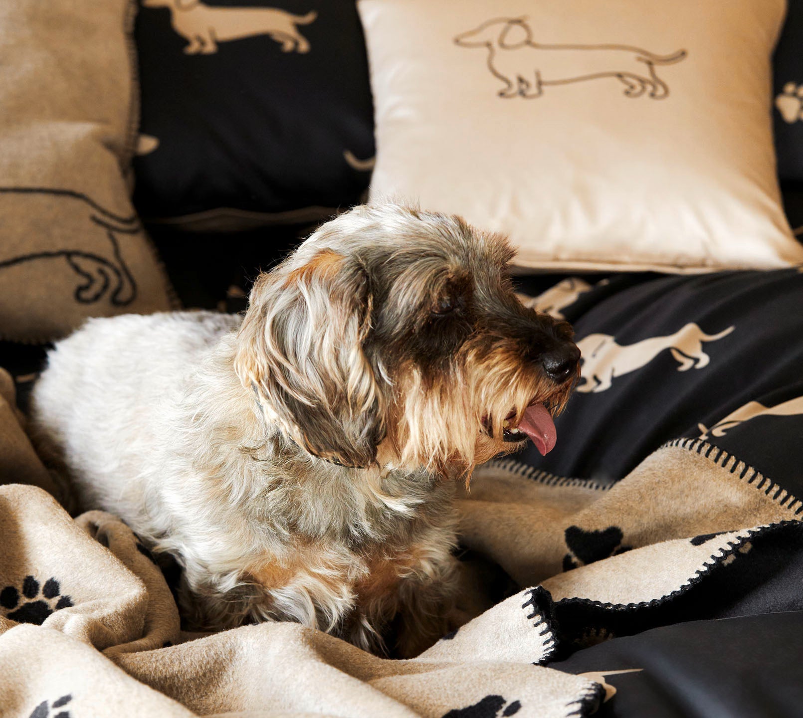 Satin Wende-Bettwäsche Dogs in Natur-Beige Hundepfoten Detail 2 #farbe_Dogs Schwarz-Beige